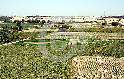 View across fields to the old city wall in Balkh, Afghanistan Stock Photo