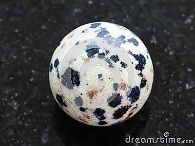 ball from Dalmatian Jasper gemstone on dark Stock Photo