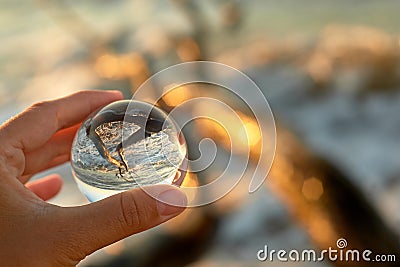 Ball in hand, the reflection of the sea,and the tree trunk in the water. Stock Photo