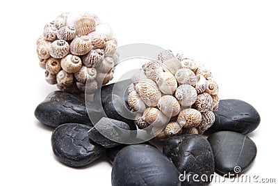 Ball with mussels Stock Photo
