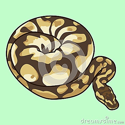 ball python art Stock Photo