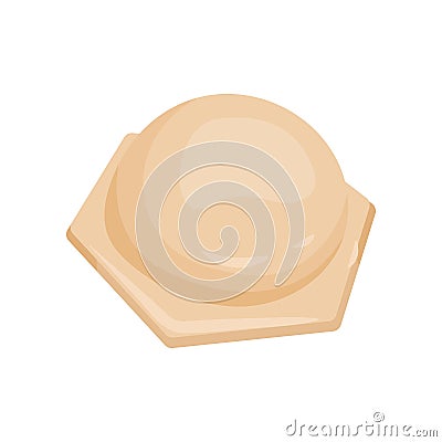 Ball-shaped ravioli. Homemade dumpling dough. Cooking theme. Flat vector for product packaging or culinary book Vector Illustration
