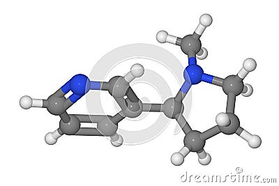 Ball and stick model of nicotine molecule Stock Photo