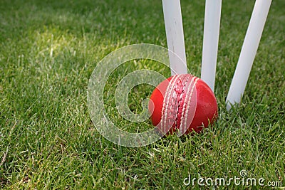 Ball and Stumps Stock Photo