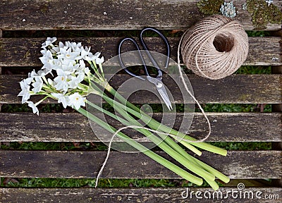 Ball of twine and scissors with bunch of white narcissi Stock Photo