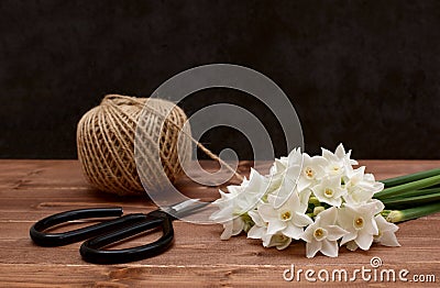 Ball of twine with scissors and white narcissi blooms Stock Photo