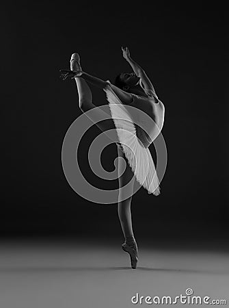 Ballerina in the pose `Swallow` Stock Photo