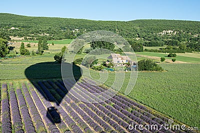 Balloon shadow over lavender bushes and green fields of Provence Stock Photo