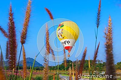 Balloons,Balloons in sky ,Balloon Festival,Singhapark International Balloon Fiesta 2017,Chiang Rai, Thailand Editorial Stock Photo