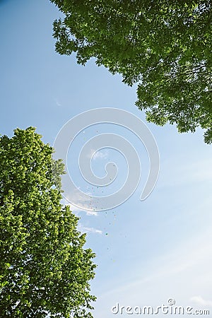 Balloons i the sky Stock Photo