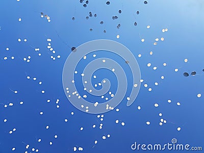 Balloons in the sky. Stock Photo
