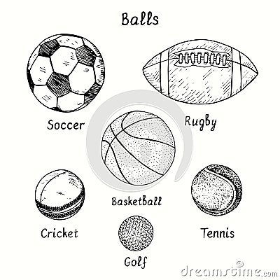 Balls collection. Soccer, Rugby, Basketball, Cricket, Golf, Tennis. Ink black and white doodle drawing Vector Illustration