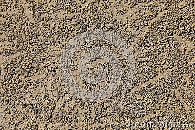 Balls of sand produced by burrowing sand bubbler crabs Stock Photo