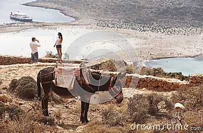 Balos beach and donkey in Crete. Mediterranean landscape. Greece Editorial Stock Photo