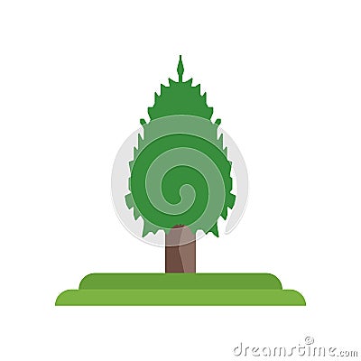 Balsam Fir tree icon vector sign and symbol isolated on white ba Vector Illustration