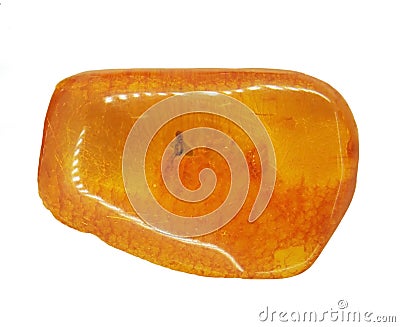 Baltic amber with insect inclusion Stock Photo