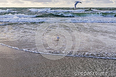 The Baltic Sea and the cloudy sky Stock Photo