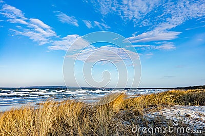 Baltic sea with golden dune grass Stock Photo