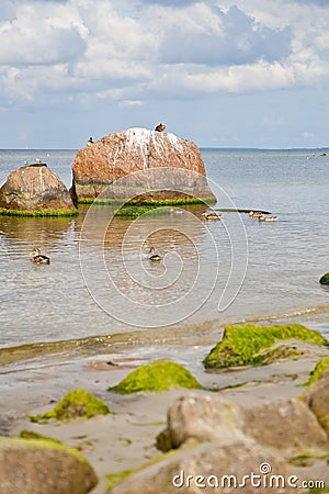 Baltic sea Stock Photo