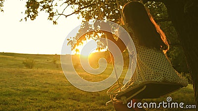 Bambino che aleggia in un parco al sole ragazza che alza sulla corda oscillando su un ramo di quercia A una ragazza piace volare archivi video Bambino che aleggia in un parco al sole ragazza che alza sulla corda oscillando su un ramo di quercia A una ragazza piace volare archivi video