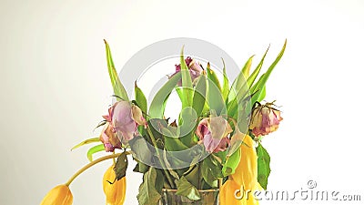 Bamboe wooden traya-fading bouquet van rozenrozen en gele tulpbloemen tijdapjes op witte achtergrond. stock videobeelden Bamboe wooden traya-fading bouquet van rozenrozen en gele tulpbloemen tijdapjes op witte achtergrond. stock videobeelden