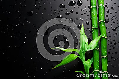 Bamboo Stock Photo