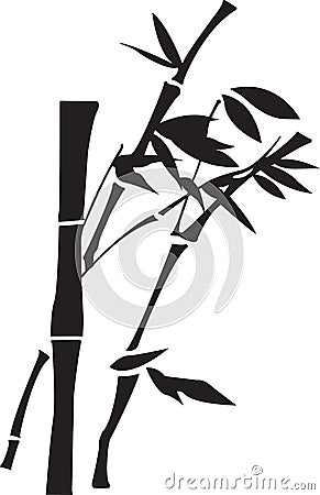 Bamboo Vector Illustration