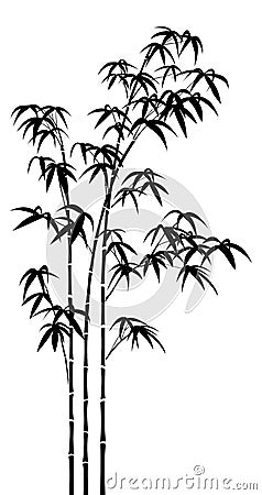 Bamboo Vector Illustration