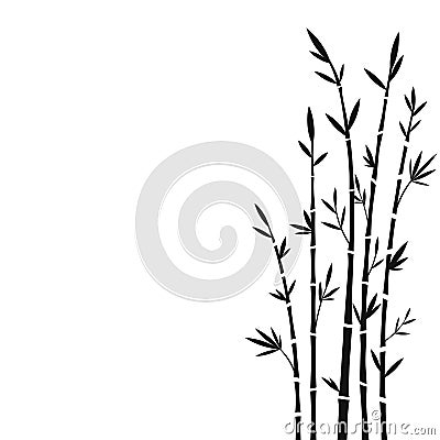 Bamboo Vector Illustration