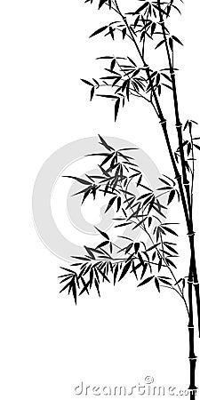 Bamboo Vector Illustration