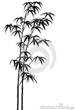 Bamboo Vector Illustration