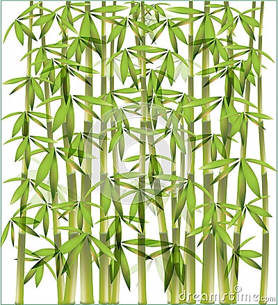 Bamboo background Vector Illustration