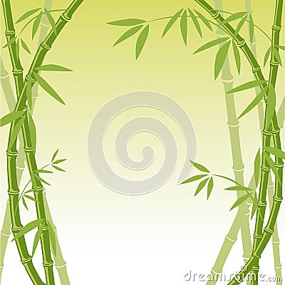 Bamboo background Vector Illustration