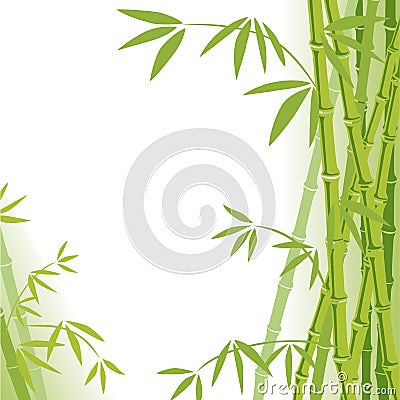 Bamboo background Vector Illustration