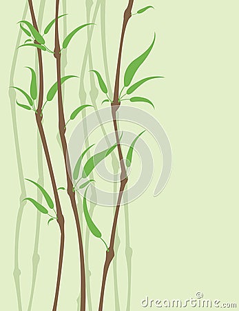 Bamboo background Vector Illustration