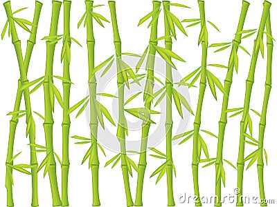 Bamboo background Vector Illustration