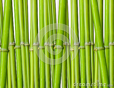 Bamboo background Stock Photo