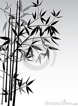 Bamboo background, vector Vector Illustration