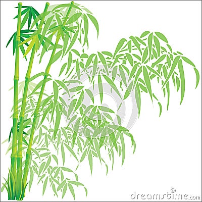 Bamboo background vector illustration Vector Illustration