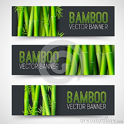 Bamboo banners concept. intage art traditional, Islam, arabic, indian, magazine, elements. Vector decorative retro greeting card o Stock Photo