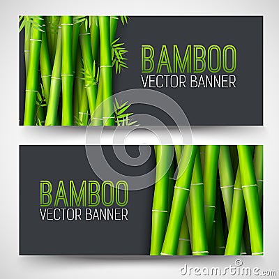 Bamboo banners concept. intage art traditional, Islam, arabic, indian, magazine, elements. Vector decorative retro greeting card o Stock Photo