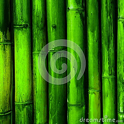 Bamboo bark Stock Photo