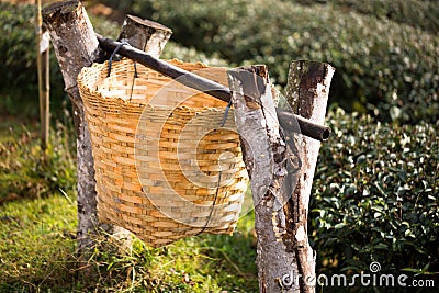 Bamboo bin in garden Stock Photo