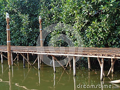 A bamboo bridge in the mangrove forest Stock Photo