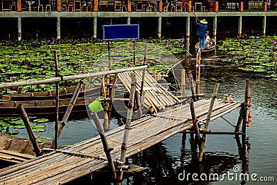 Bamboo bridge for boat wood, see Lotus red Stock Photo