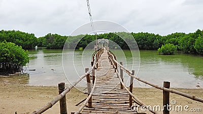 Bamboo bridge leading to mangrove swamp on Bantayan Island Stock Photo