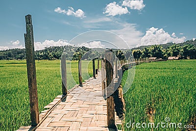 Bamboo bridge on the rice field. SuTong Pae Bridge in northern thailand Stock Photo