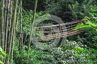 Bamboo bridge in the jungle Stock Photo