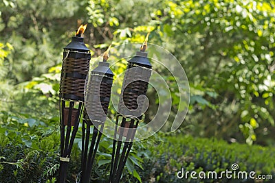 Bamboo Citronella Torch Stock Photo
