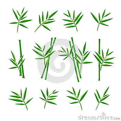 Bamboo collection set. Vector Vector Illustration